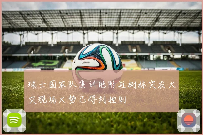 瑞士国家队集训地附近树林突发火灾现场火势已得到控制
