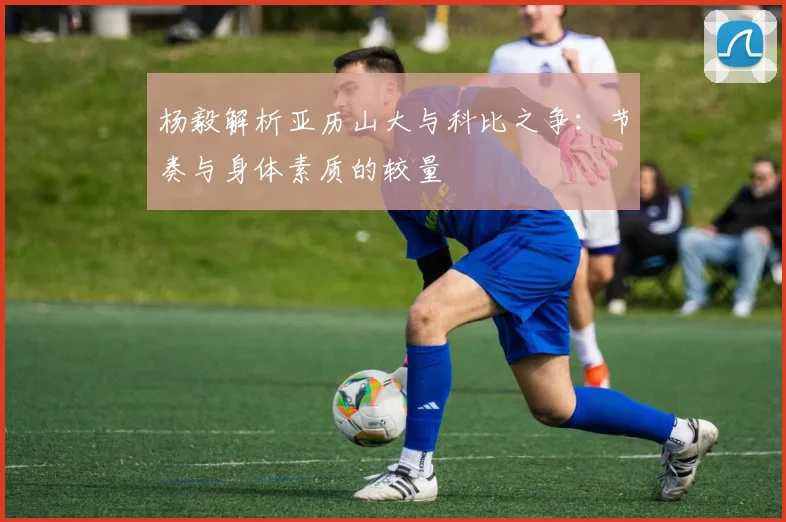 杨毅解析亚历山大与科比之争：节奏与身体素质的较量